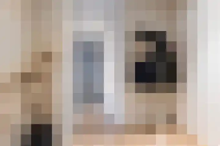 Scheerdersdonk 219 Apeldoorn thumbnail 5