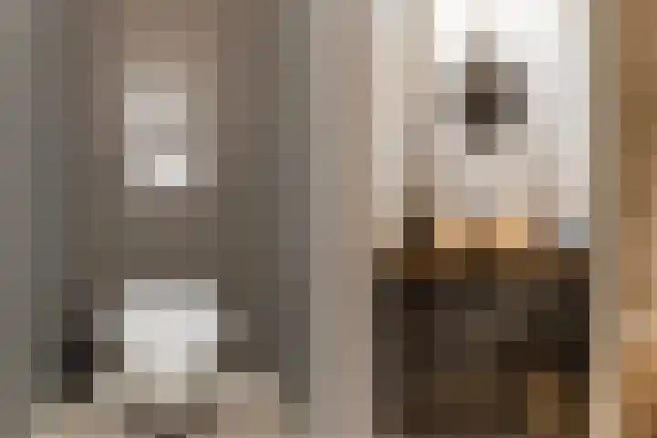 Scheerdersdonk 219 Apeldoorn thumbnail 6