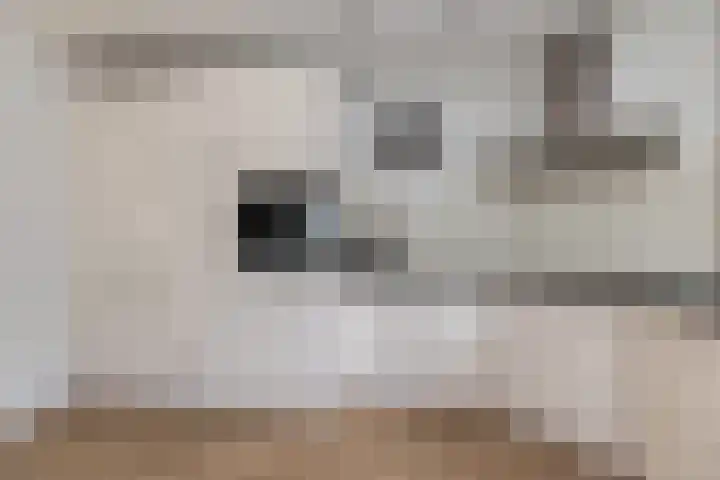 Scheerderslaan 16 Wezep thumbnail 15