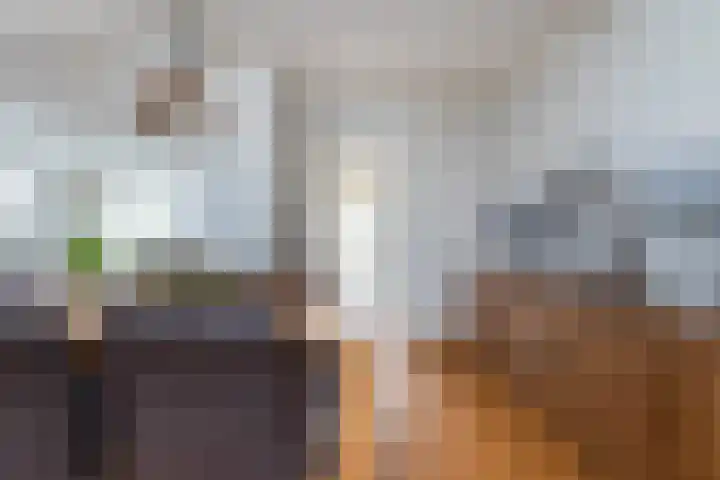 Scheerderslaan 16 Wezep thumbnail 18