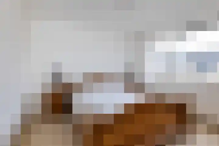 Scheerderslaan 16 Wezep thumbnail 22