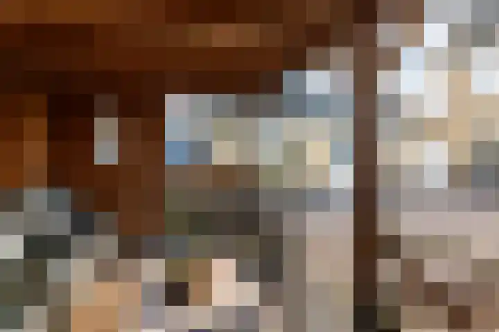 Scheerderslaan 16 Wezep thumbnail 36