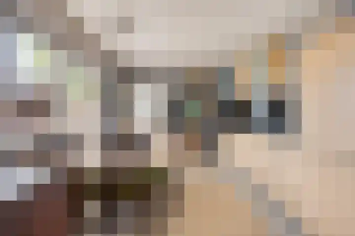 Scheerdersstraat 10 Oeffelt thumbnail 24