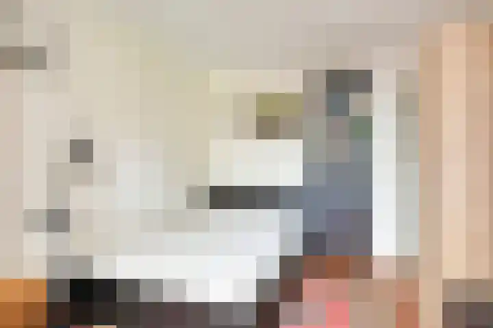Scheerdersstraat 10 Oeffelt thumbnail 31