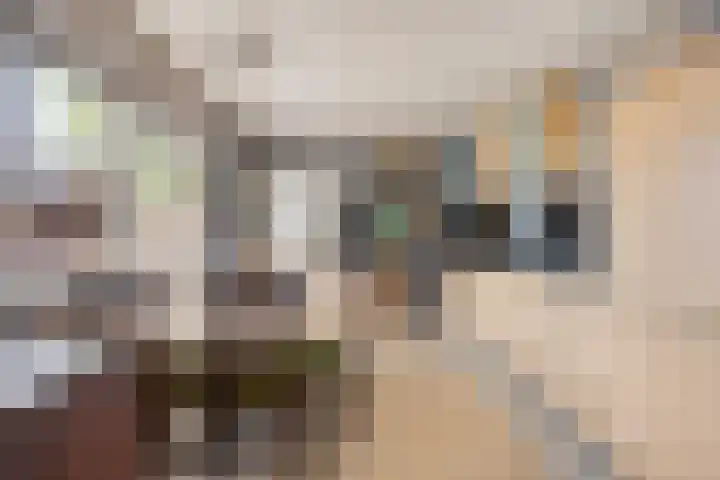 Scheerdersstraat 10 Oeffelt thumbnail 4