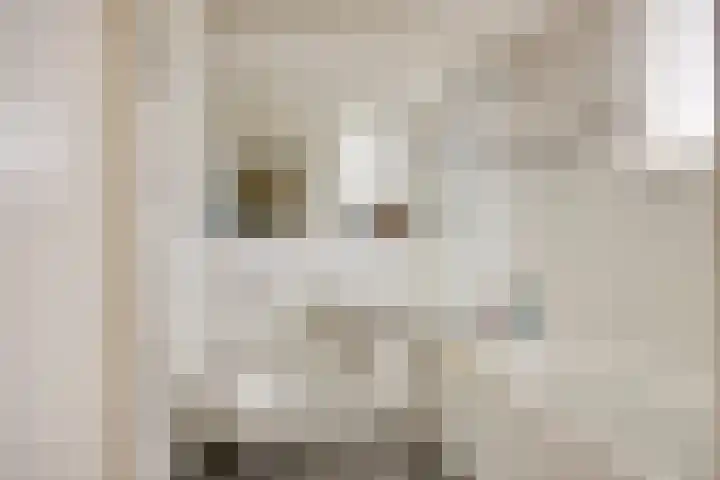Scheerdersstraat 10 Oeffelt thumbnail 46