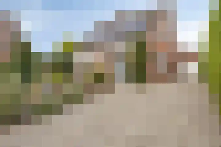 Scheerdersstraat 10 Oeffelt thumbnail 5