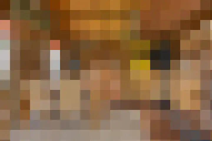 Scheerdersstraat 10 Oeffelt thumbnail 61