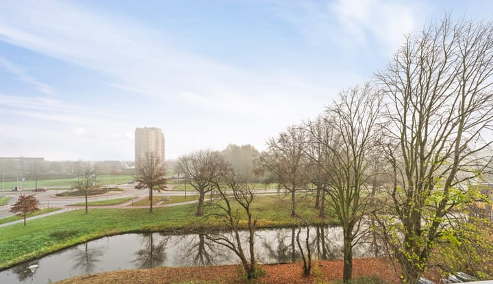 Scheerling 153 in Kampen foto