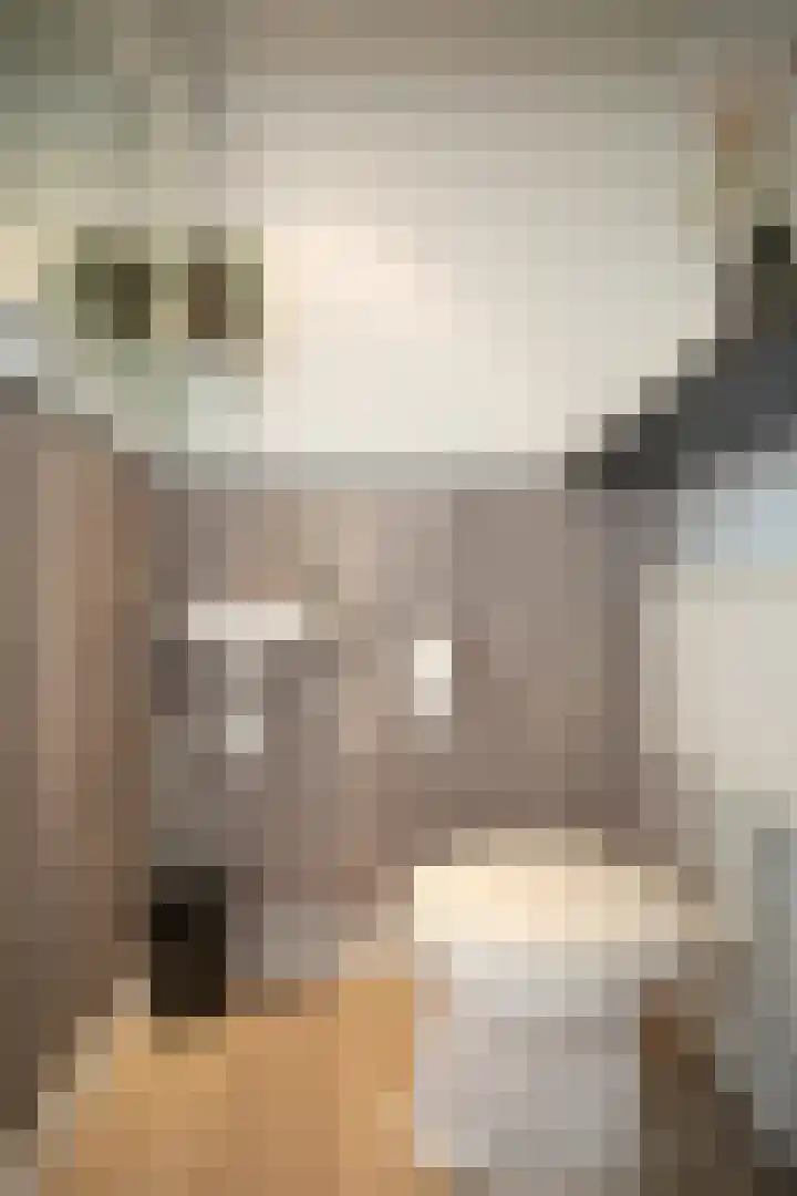 Scheermolen 27 Wierden thumbnail 10