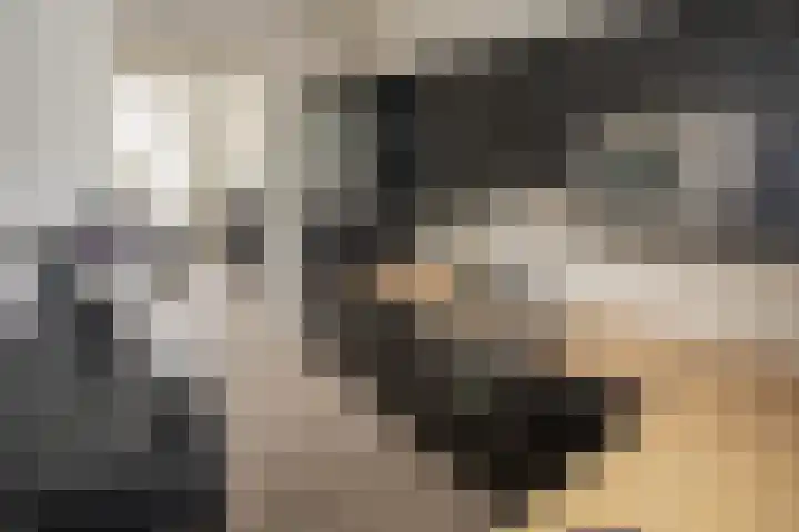 Scheermolen 27 Wierden thumbnail 18