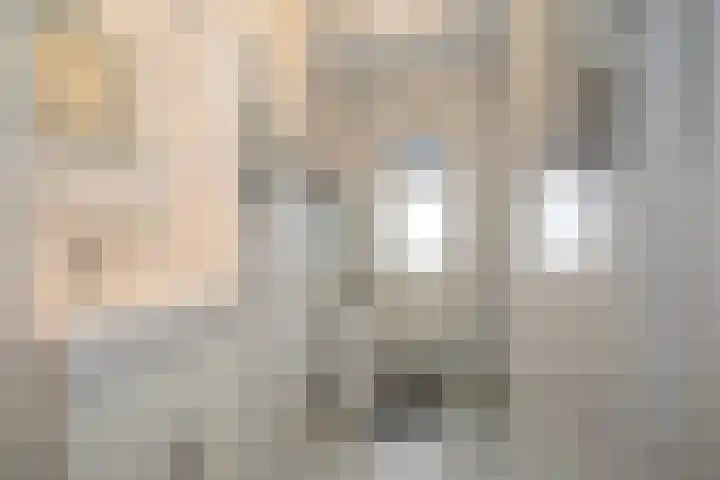 Scheermolen 27 Wierden thumbnail 27