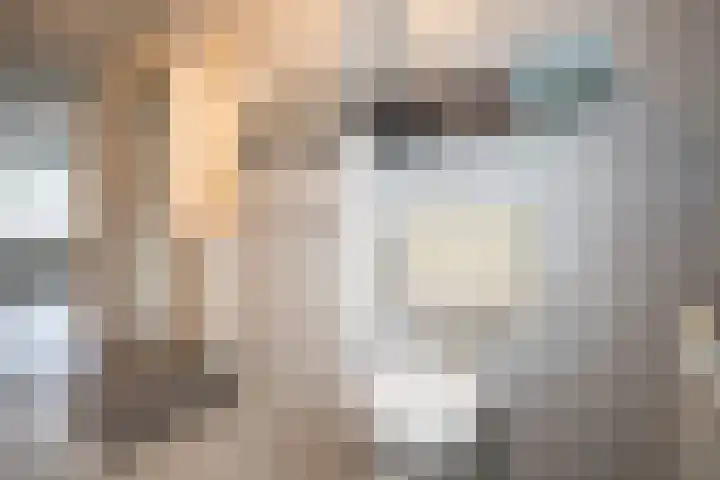 Scheermolen 27 Wierden thumbnail 28