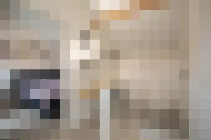 Scheermolen 27 Wierden thumbnail 32