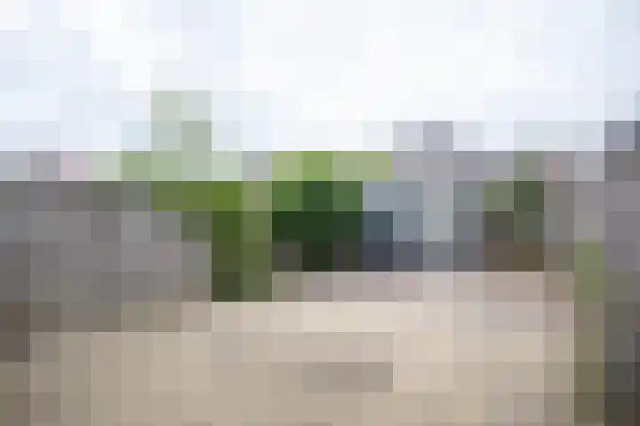 Scheermolen 27 Wierden thumbnail 39