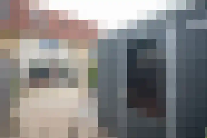 Scheermolen 27 Wierden thumbnail 42