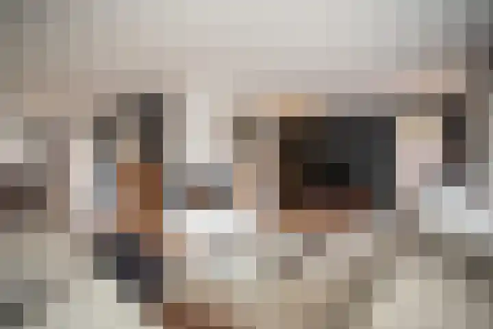 Scheermolen 47 Wierden thumbnail 13
