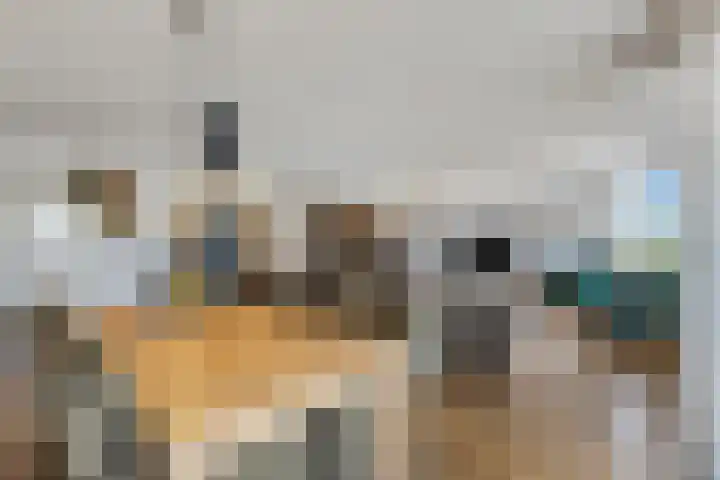 Scheermolen 47 Wierden thumbnail 14