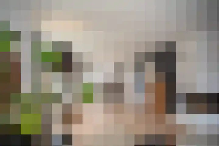 Scheermolen 47 Wierden thumbnail 14