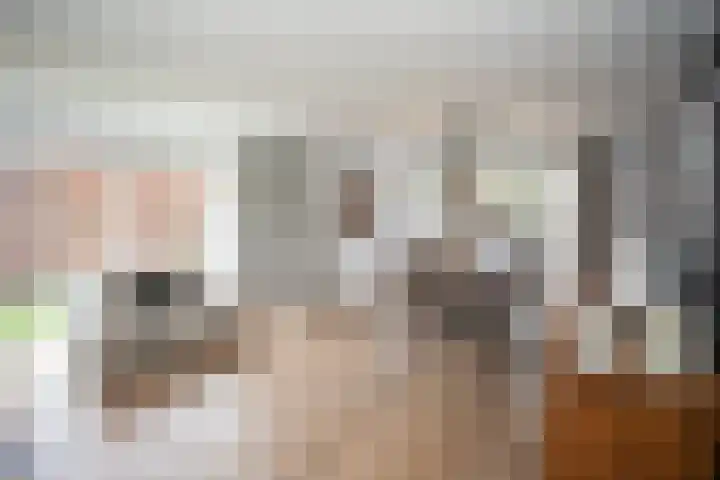 Scheermolen 47 Wierden thumbnail 17