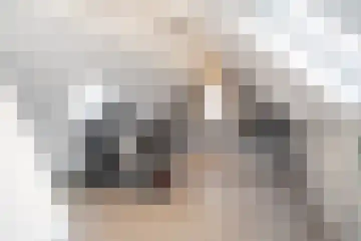 Scheermolen 47 Wierden thumbnail 31