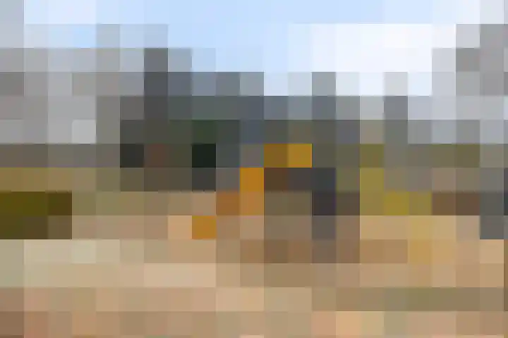Scheermolen 47 Wierden thumbnail 32