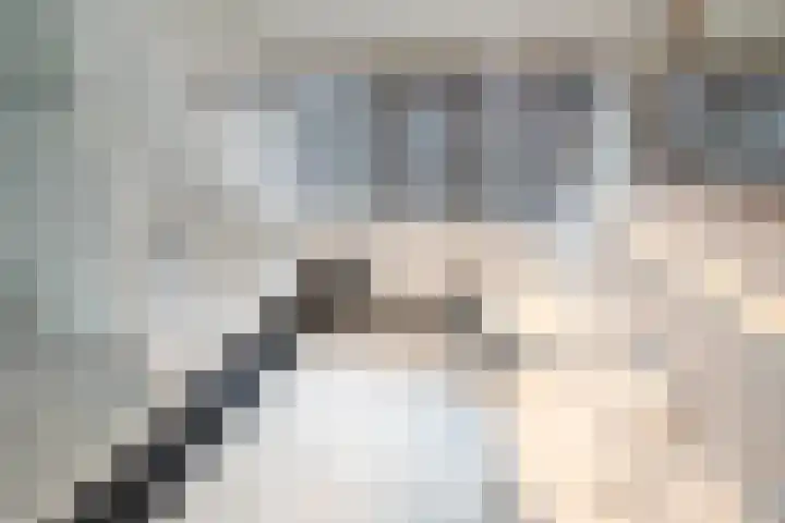 Scheermolen 47 Wierden thumbnail 37