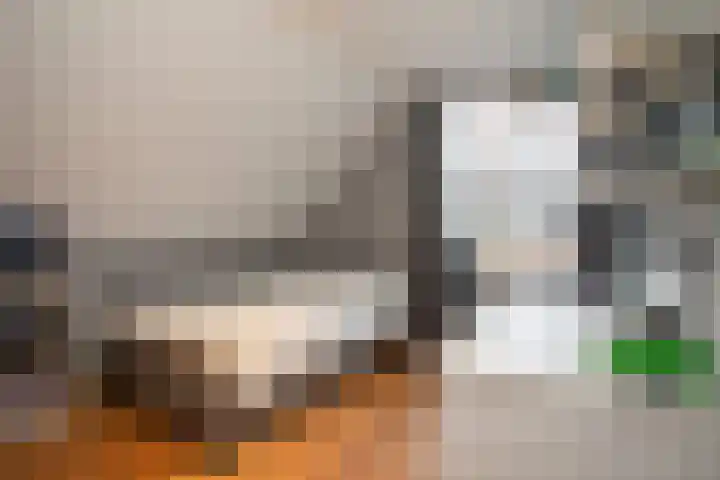 Scheermolen 47 Wierden thumbnail 44