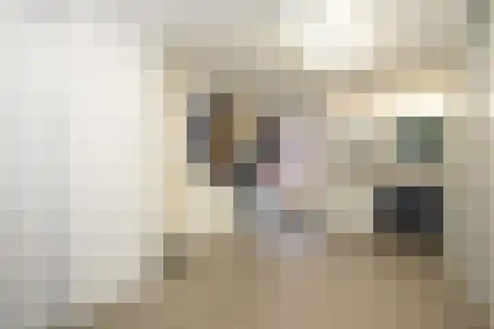 Scheermolen 47 Wierden thumbnail 48