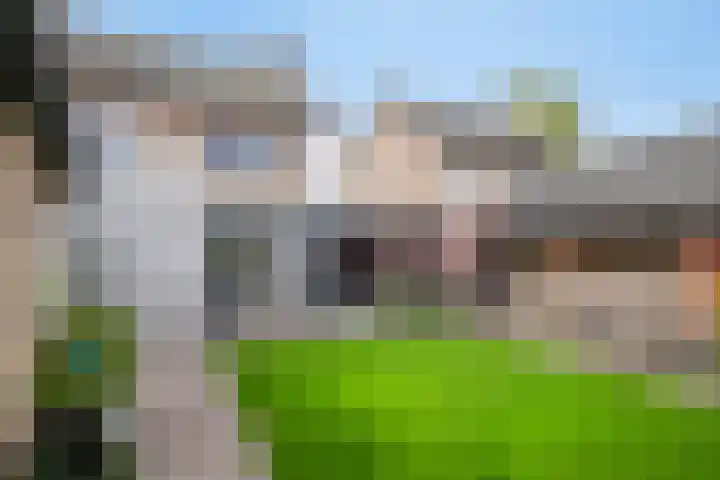 Scheermolen 47 Wierden thumbnail 49