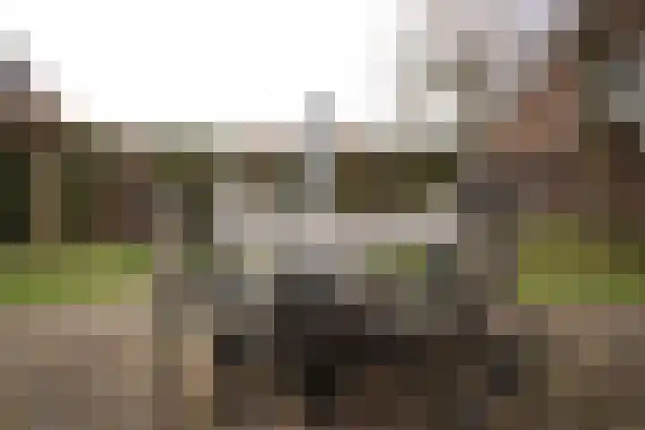Scheermolen 47 Wierden thumbnail 52