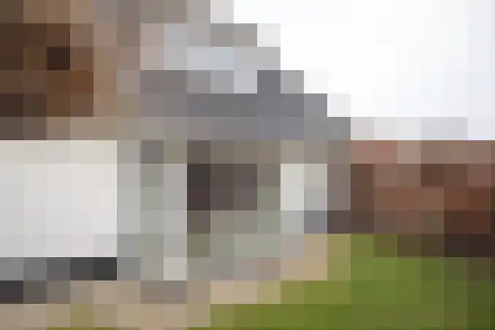 Scheermolen 47 Wierden thumbnail 53