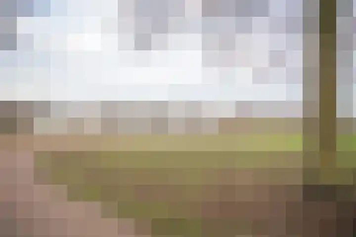Scheermolen 47 Wierden thumbnail 62