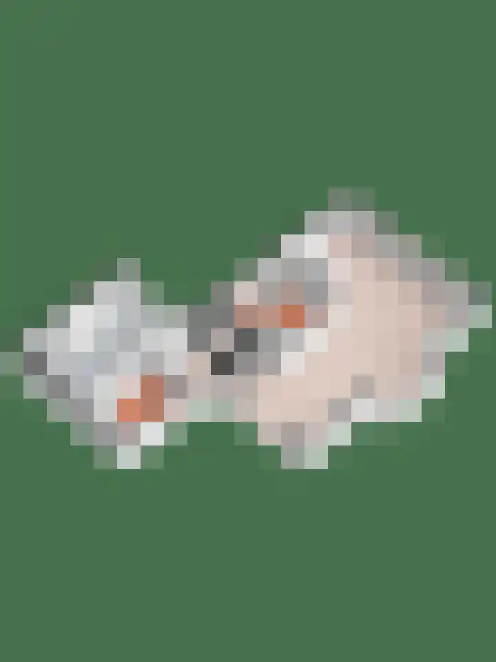 Scheermolen 47 Wierden thumbnail 66