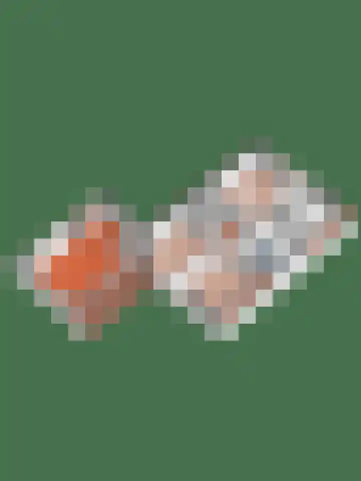 Scheermolen 47 Wierden thumbnail 68
