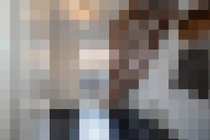 Scheermolen 47 Wierden thumbnail 7