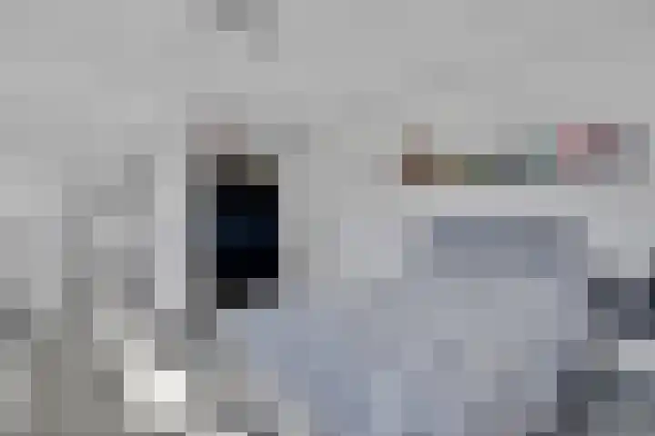 Scheermolen 58 Wierden thumbnail 13