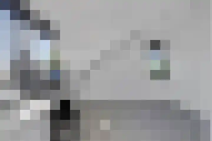 Scheermolen 58 Wierden thumbnail 20
