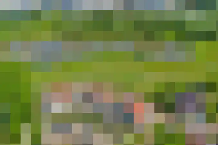 Scheermolen 58 Wierden thumbnail 30