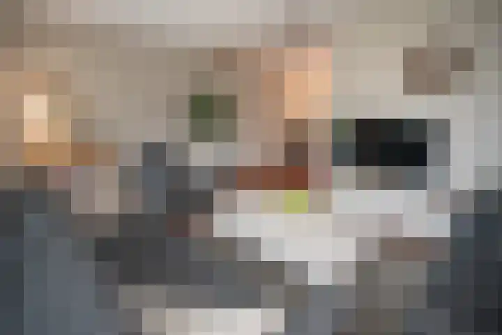 Scheermolen 67 Wierden thumbnail 10