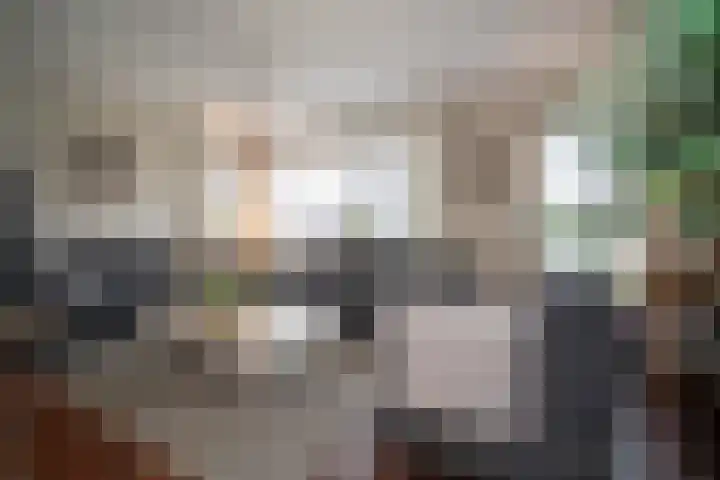 Scheermolen 67 Wierden thumbnail 12