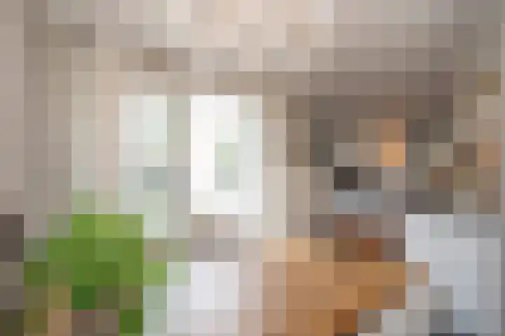 Scheermolen 67 Wierden thumbnail 17