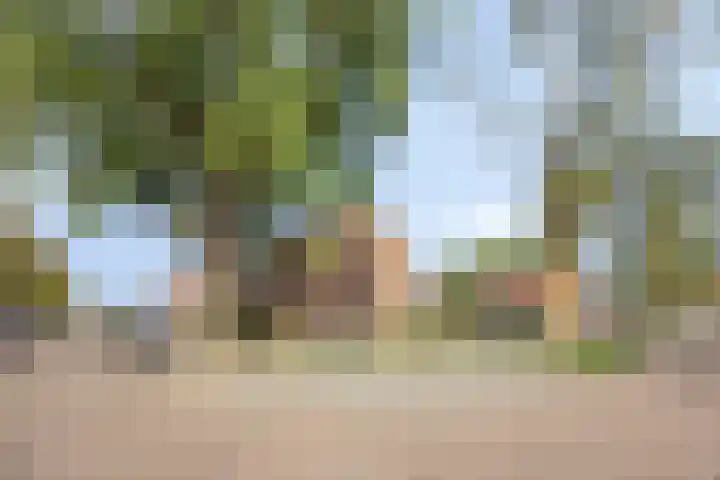 Scheermolen 67 Wierden thumbnail 23