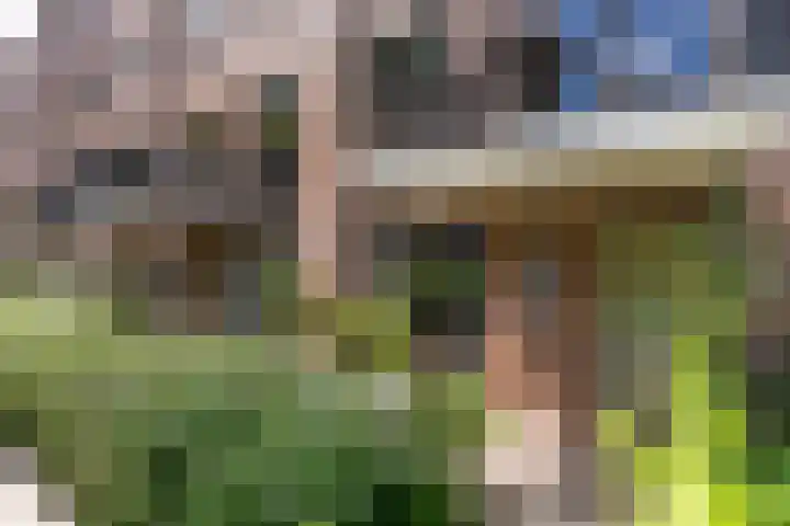 Scheermolen 67 Wierden thumbnail 27