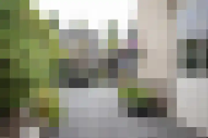 Scheermolen 67 Wierden thumbnail 49