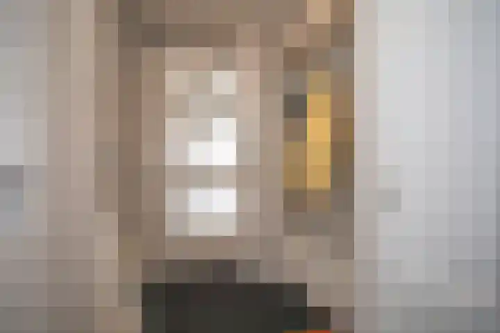 Scheermolen 67 Wierden thumbnail 5