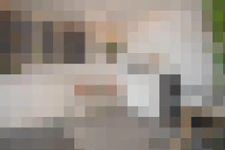 Scheermolen 67 Wierden thumbnail 51