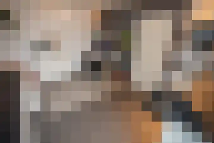 Scheermolen 67 Wierden thumbnail 53