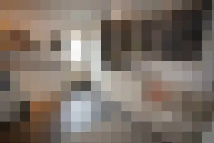 Scheermolen 67 Wierden thumbnail 54
