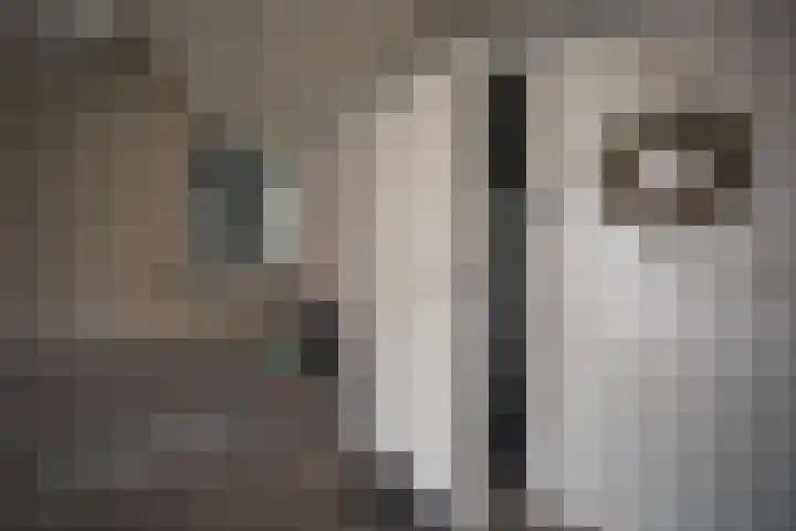 Scheermolen 67 Wierden thumbnail 56